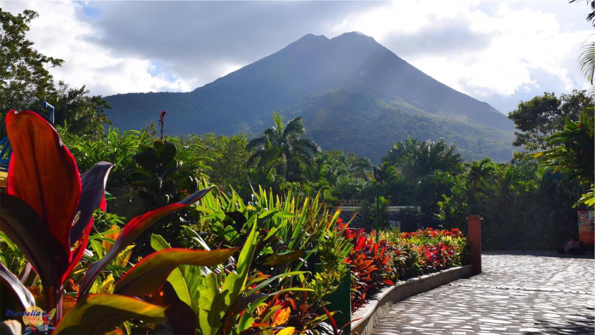 Costa Rica Ticas Brushstrokes